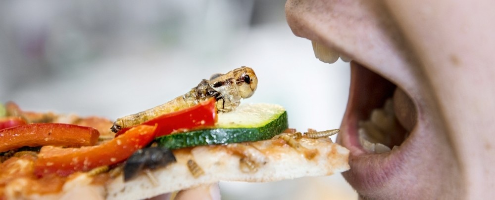 Promoteam SVO Studie Experience