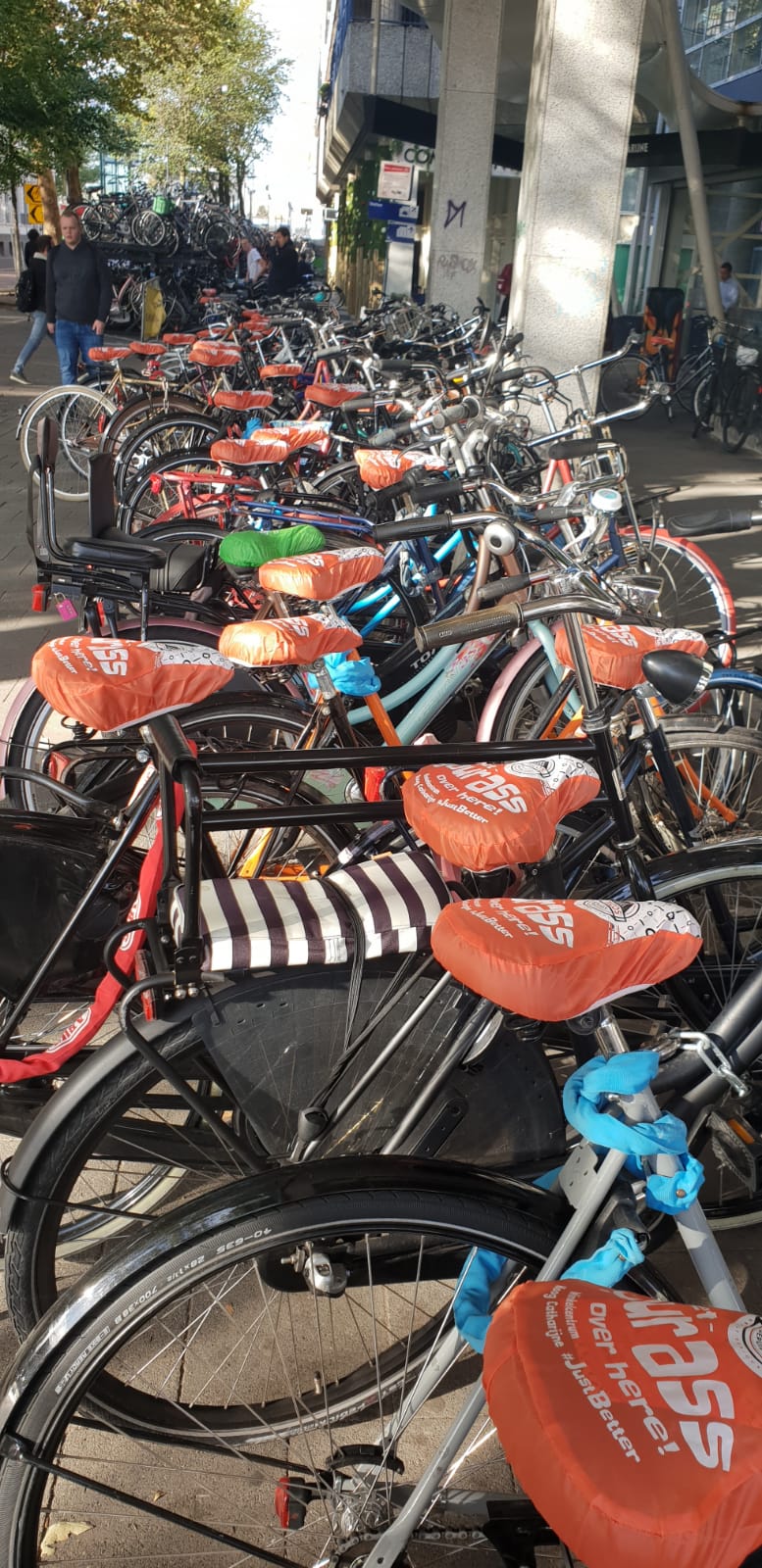 GET YOUR ASS OVER HERE ZADELHOESJES